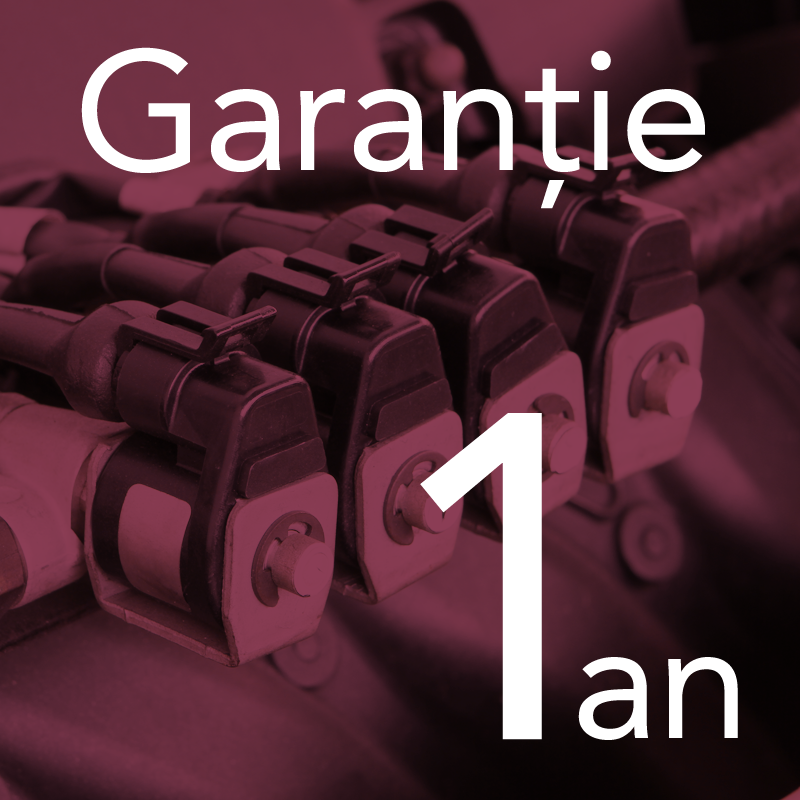 Garantie 1 an la reparatii de injectoare